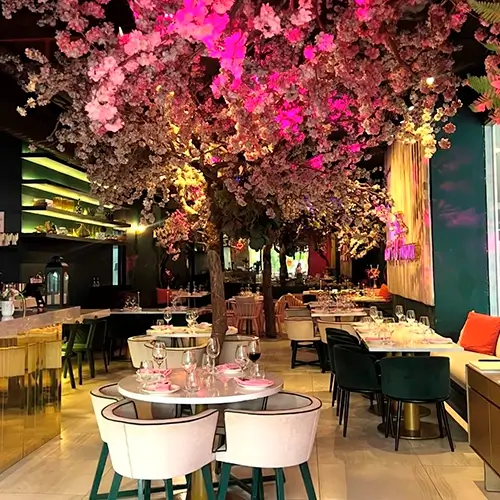 Foto del restaurante Blame Kiki en Panamá, participante de Gourmet Fest Panamá